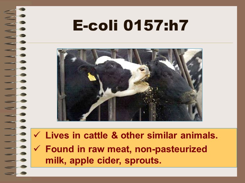 E-coli 0157:h7 Lives in cattle & other similar animals.  Found in raw meat,